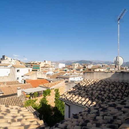Atico Duplex Terraza Privada Centro Lägenhet Granada Exteriör bild